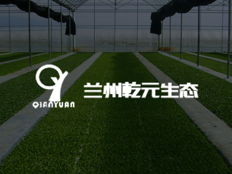 蘭州傳誠網絡公司案例-乾元生態(tài)科技
